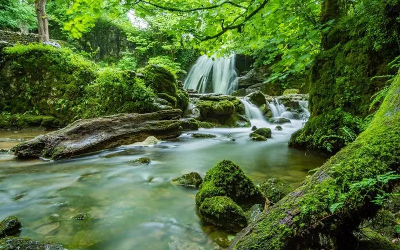 高质量高端高性能